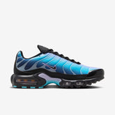 Nike Air Max Plus Baltic Blue